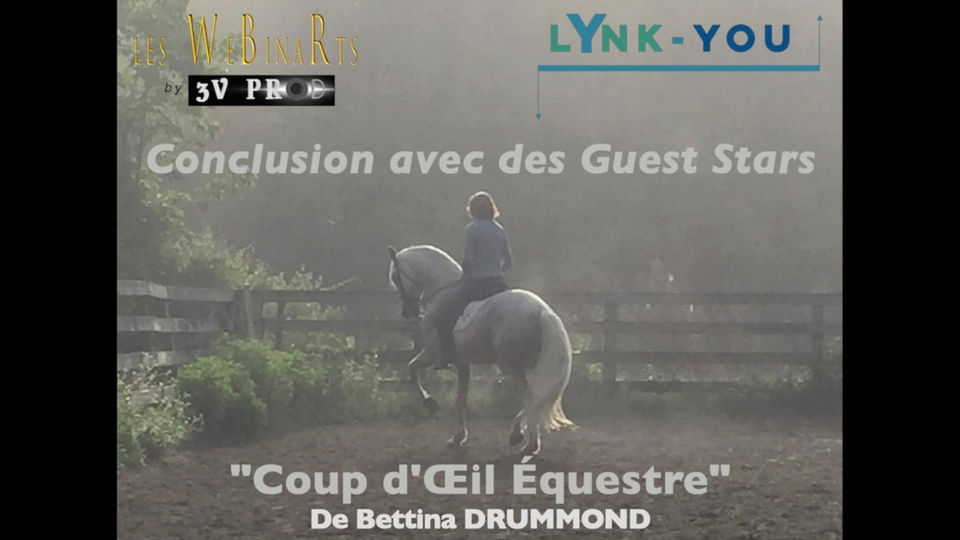 Coup d'Oeil Equestre P5